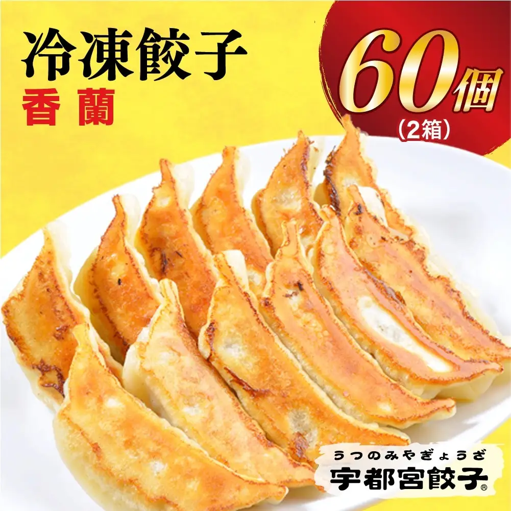 【香蘭】　餃子30個入り×2箱 | 餃子  ｷﾞｮｰｻﾞ