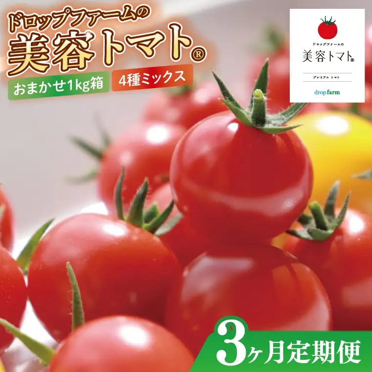 【3ヶ月定期便】【11月より順次発送】ドロップファームの美容トマトおまかせ1kg箱(４種ミックス)（CK-103）