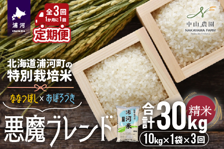 北海道浦河町の特別栽培米「悪魔ブレンド」精米(10kg×1袋)定期便(全3回)[37-1222]