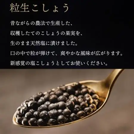 【世界初・元祖】粒生こしょう 30g×3個 生胡椒の塩漬け 入間市贈答ギフトセット【1391432】