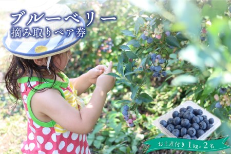 ブルーベリー 摘み取り体験（2名）1キロ×2名分のお土産付き　080-02