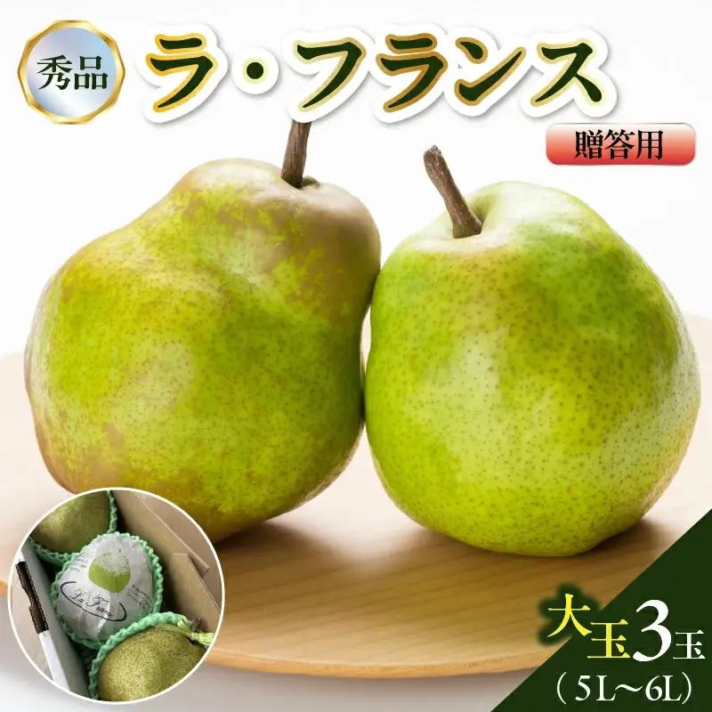 西洋梨（ラフランス）大玉３玉　贈答用　0142-2609