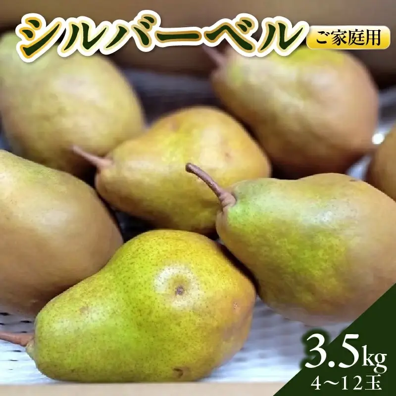 西洋梨（シルバーベル）３.５ｋｇ　ご家庭用　0142-2617