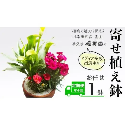 《 3ヶ月に1回お届け！年4回 定期便 》【 確実園 オリジナル 】 寄せ植え （おまかせ1点）