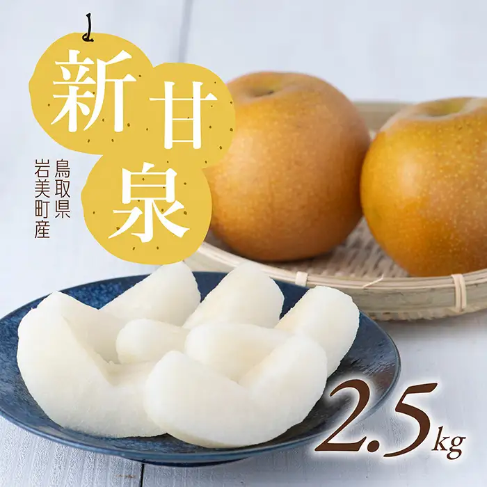 【先行予約】新甘泉（梨）2.5kg 2026年収穫後 9月頃～順次発送予定 （着日指定不可）鳥取県 岩美町産【41003】