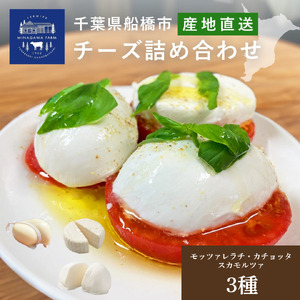 チーズ 皆川牧場 詰め合わせ 3種 セット 食べ比べ 人気 話題 冷蔵 モッツァレラチーズ カチョッタ スカモルツァ ナチュラルチーズ 熟成 手作り 生乳 牧場直送 ご当地 ギフト 贈答 ミルク おつまみ デザート パスタ ピザ 前菜 おつまみ 乳製品 船橋市 千葉県