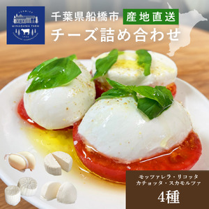 チーズ 皆川牧場 詰め合わせ 4種 セット 食べ比べ 人気 話題 冷蔵 モッツァレラチーズ リコッタ カチョッタ スカモルツァ ナチュラルチーズ 熟成 手作り 生乳 牧場直送 ご当地 ギフト 贈答 ミルク おつまみ デザート パスタ ピザ 前菜 おつまみ 乳製品 船橋市 千葉県