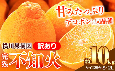 完熟 不知火 ( デコポン )と同品種 約10kg S～2L 家庭用 サイズ混合 横川果樹園 