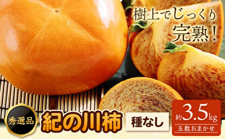 希少 紀の川柿 約3.5kg 種無し 秀選品 平核無柿