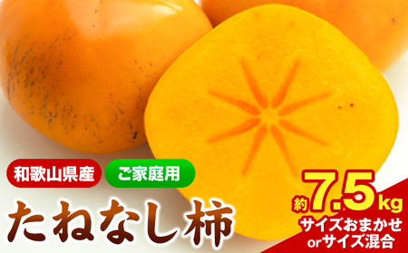 ご家庭用 和歌山産 たねなし柿 約7.5kg 柿