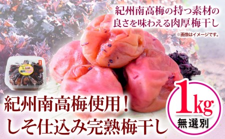 紀州南高梅 しそ仕込み完熟梅干し 無選別 1kg 梅