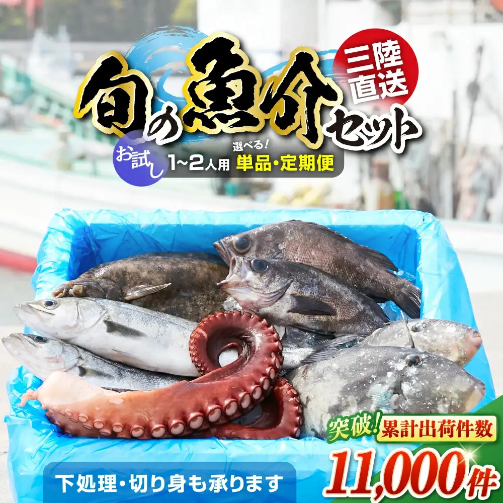 鮮魚セット(1～2人用) 下処理済み 朝獲れ直送 三陸 旬 冷蔵 刺身 海藻 貝 鮮魚 お魚