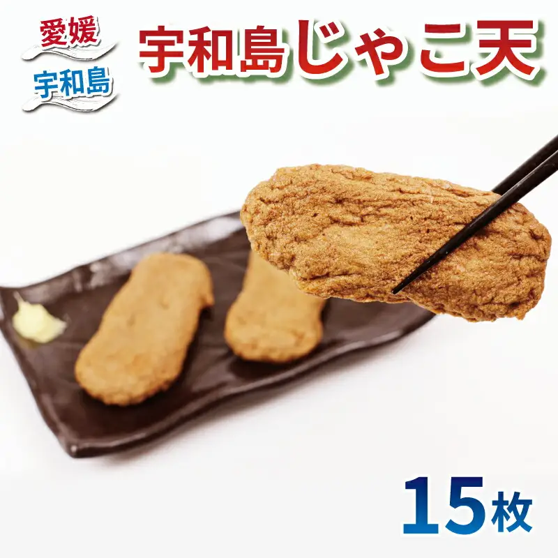 練物 宇和島じゃこ天 じゃこ天 15枚 薬師神かまぼこ 練物 C012-019001
