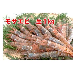 【魚倉】モサエビ 生1kg (中～大サイズ)