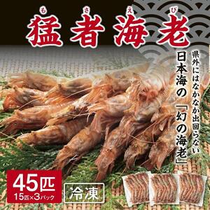 猛者海老 15匹×3パックセット【山根商店】