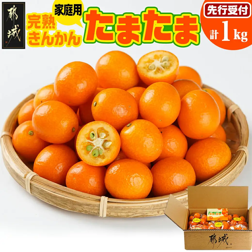 《先行受付!》 【家庭用】宮崎ブランド完熟きんかん「たまたま」1kg〔01-012〕_(都城市) みやざきブランド 完熟きんかん たまたま Lサイズ 家庭用 糖度【16度以上】大きさ【直径2.8cm以上】