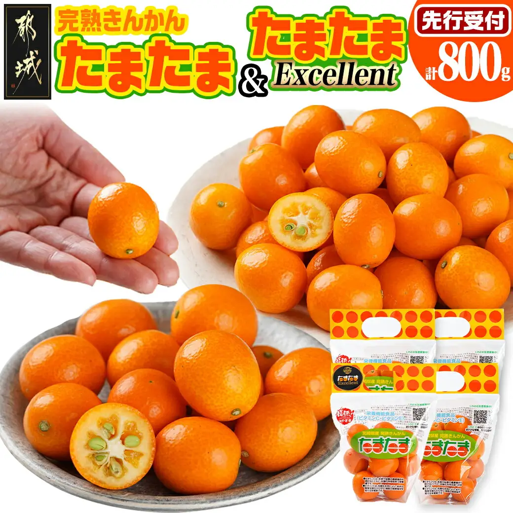 《先行受付!》 完熟きんかん「たまたまL」&「たまたまExcellent」 計800g (スタンドパック入り)〔01-010〕_(都城市) みやざきブランド 完熟きんかん  たまたま 糖度16度以上 大きさ直径2.8cm以上 金柑たまたまの最高峰 エクセレント 糖度18度以上 サイズ2L以上