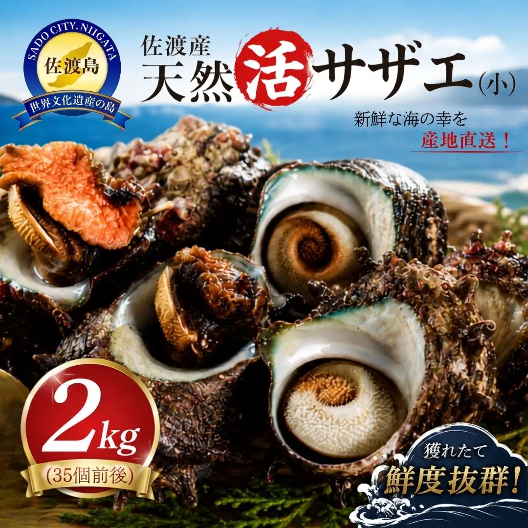 佐渡産 天然活サザエ 2kg 小（35個前後）