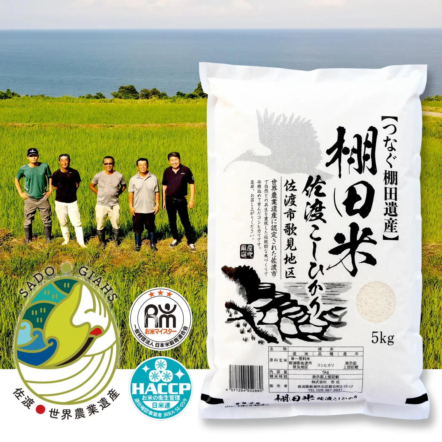 米 コシヒカリ 佐渡産 ( 5kg ) 棚田米 佐渡市歌見地区【令和7年米】