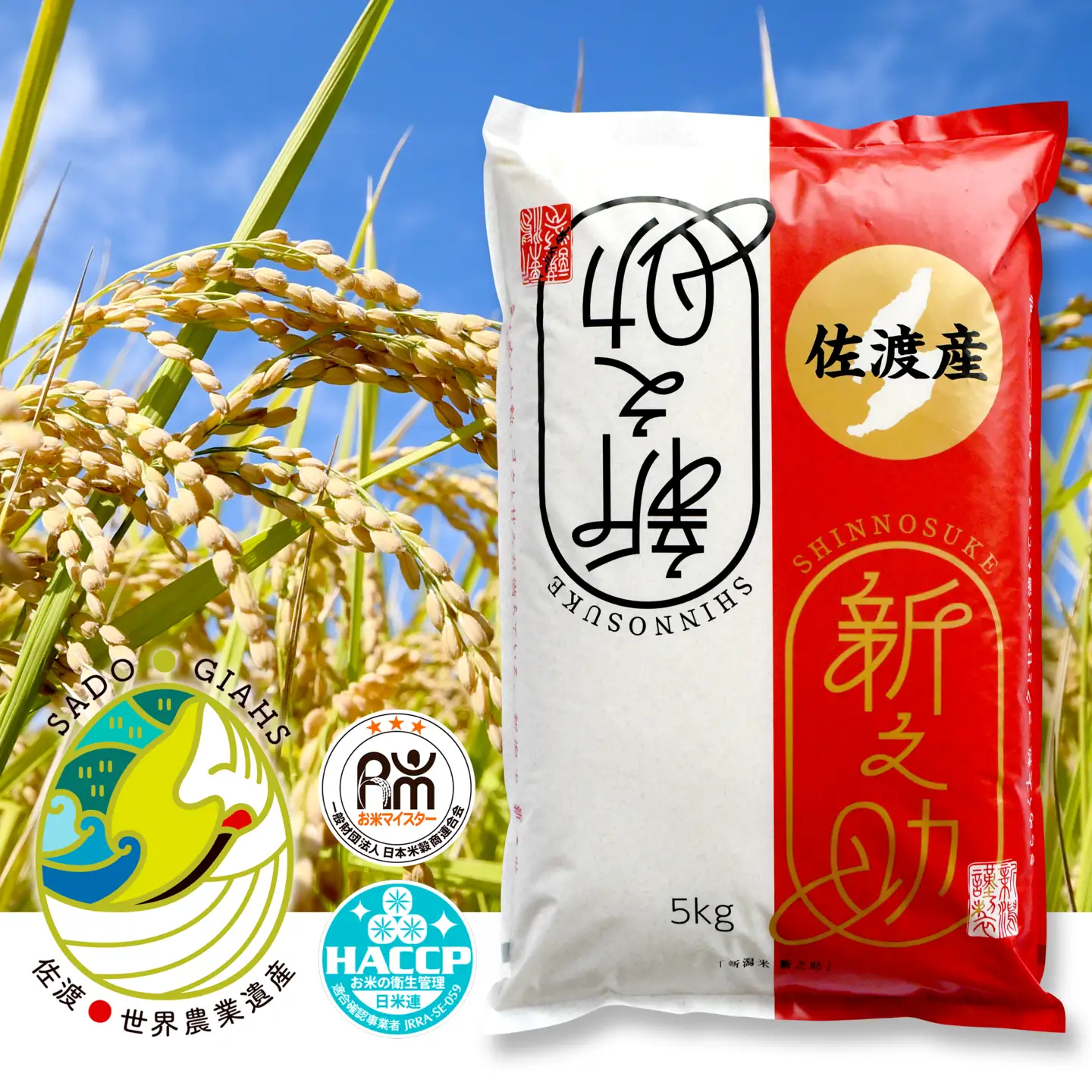 新潟県佐渡市産 新之助 精米 5kg【令和7年米】