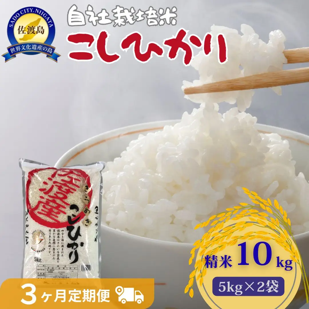定期便 10kg 3回 コシヒカリ 精米 自社栽培 | 新潟県 佐渡市 定期便