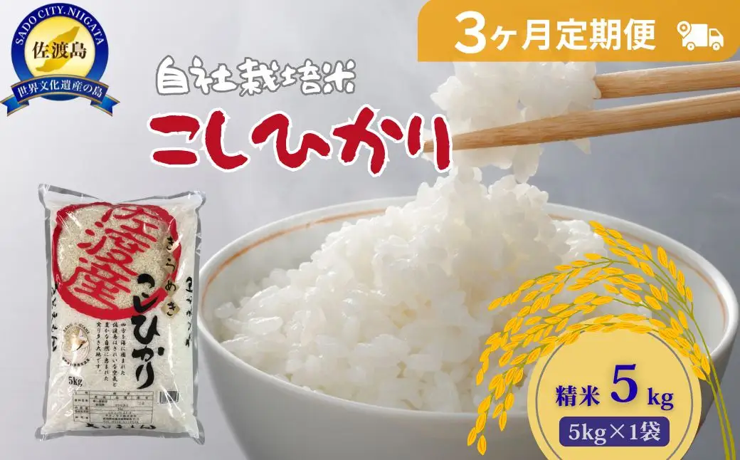 自社栽培米佐渡産こしひかり（精米5kg）3カ月定期便