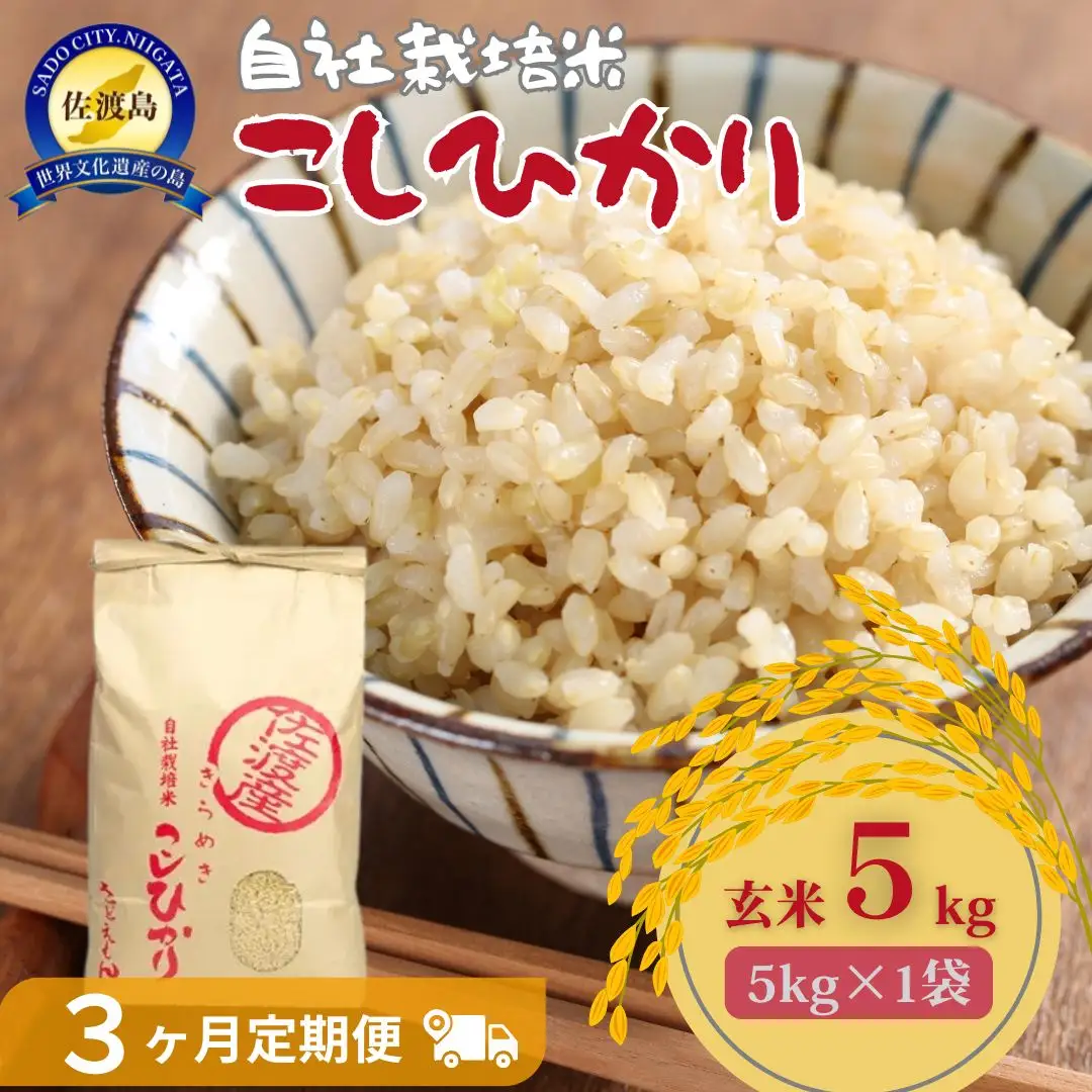 自社栽培米佐渡産こしひかり（玄米5kg）3カ月定期便