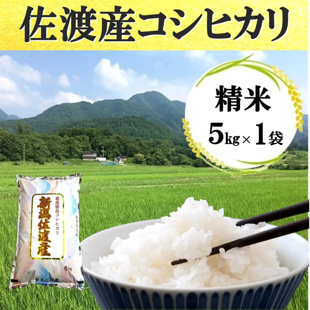 【令和7年産】佐渡高千産こしひかり 5kg