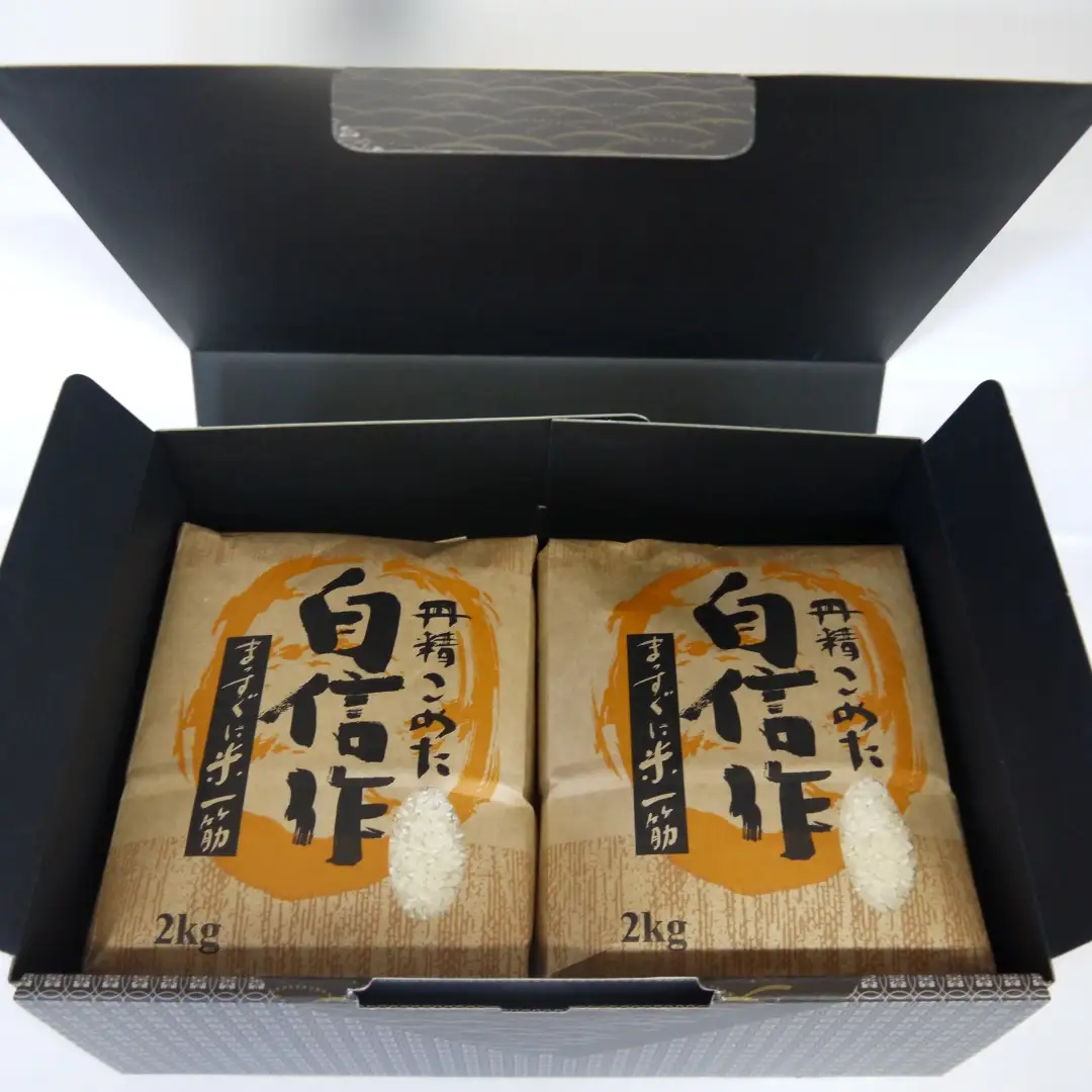 【令和7年産】佐渡高千産こしひかり 精米2kg×2袋 化粧箱入