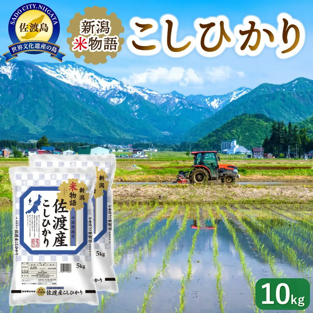 コシヒカリ 10kg 新潟米物語 | 新潟県 佐渡市