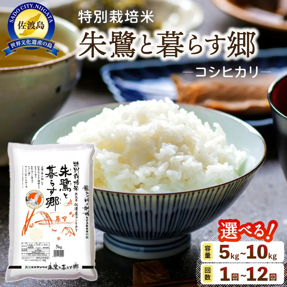 佐渡産コシヒカリ 朱鷺と暮らす郷（5kg）