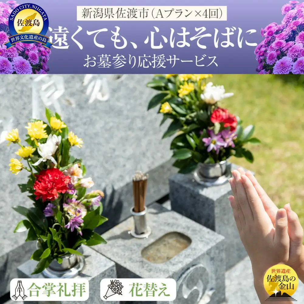 【新潟県佐渡】佐渡島内 お墓参りプランAを年4回 応援サービス 合掌拝礼・花替え・簡易清掃・タクシー送迎（5,000円まで年1回付き） 「遠くても、心はそばに」