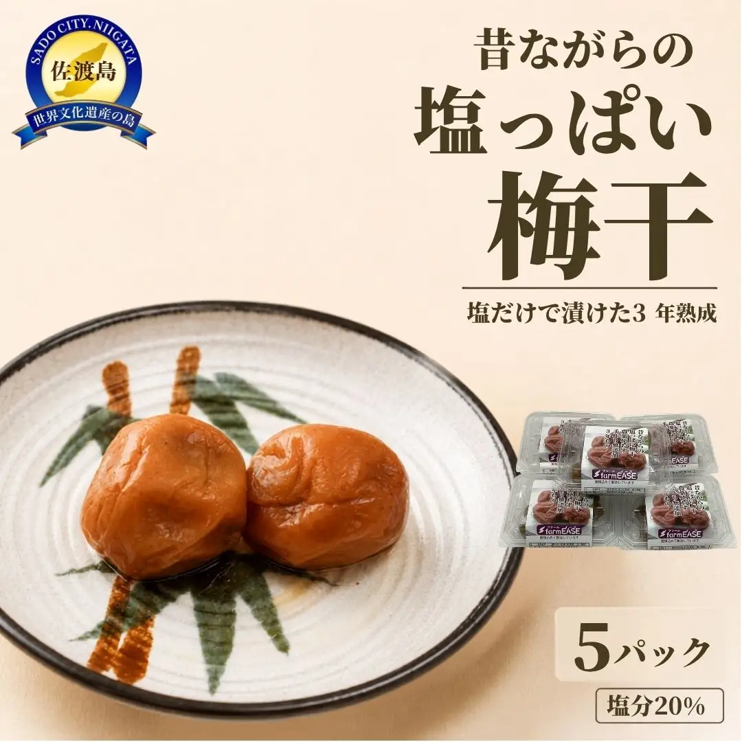 昔ながらの塩っぱい梅干 5パック