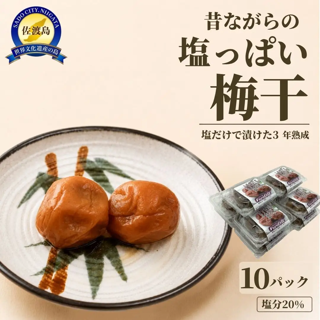 昔ながらの塩っぱい梅干 10パック