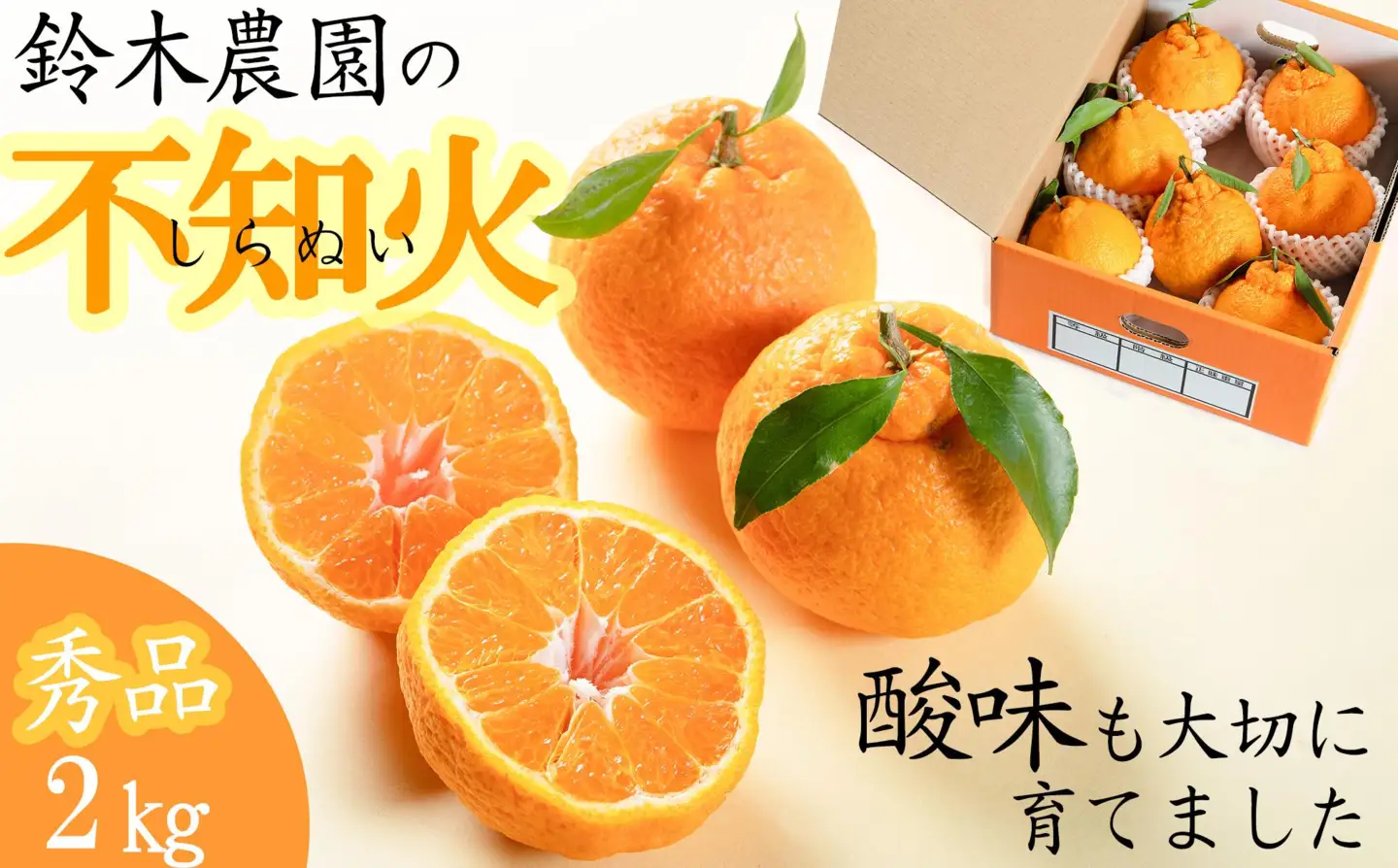 【R9年出荷分】鈴木農園の不知火２ｋｇ（２L又は３L）　和歌山県から農家直送！デコポン　しらぬい　オレンジ　皮がむきやすい【北海道・沖縄・一部離島への配送不可】