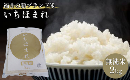 いちほまれ 無洗 2kg 令和7年産 福井の新ブランド いちほまれ