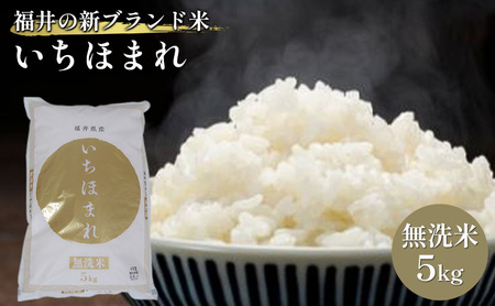 いちほまれ 無洗 5kg 令和7年産 福井の新ブランド いちほまれ