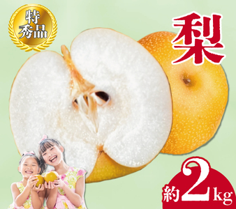 【先行予約】 特秀品 丸亀産 梨 約2kg 梨 なし