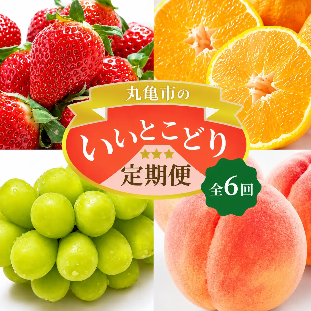 【全6回】フルーツ 定期便 いいとこどり定期便 桃 マスカット
