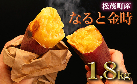さつまいも(なると金時)松茂町産1.8kg　徳島 鳴門金時 芋 秋 旬 サツマイモ 正月 おせち 贈答用 野菜 秋の味覚 産地直送 