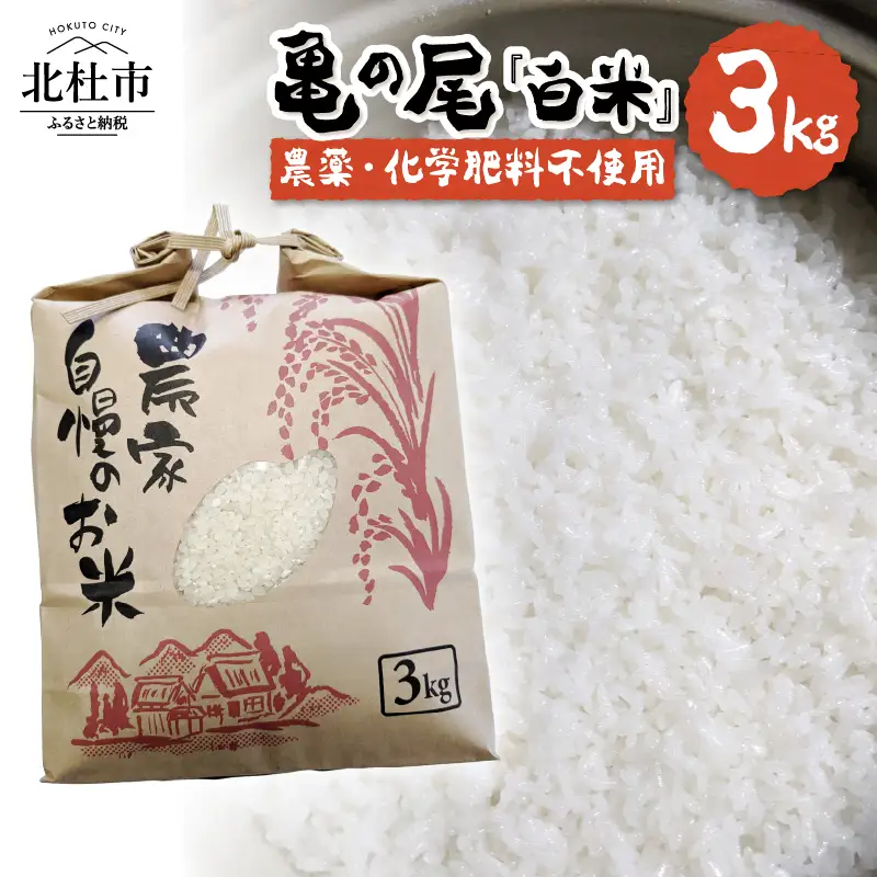 【令和7年度米】白州米 亀の尾『白米』3kg [h208]
