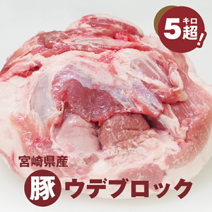 宮崎県産豚ウデブロック５㎏超_K16_0014_12