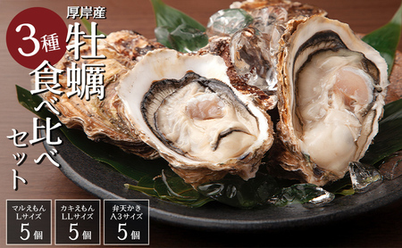 牡蠣 3種 食べ比べ セット 厚岸オイスターハーフ ★オールスターズ 生食 牡蠣
