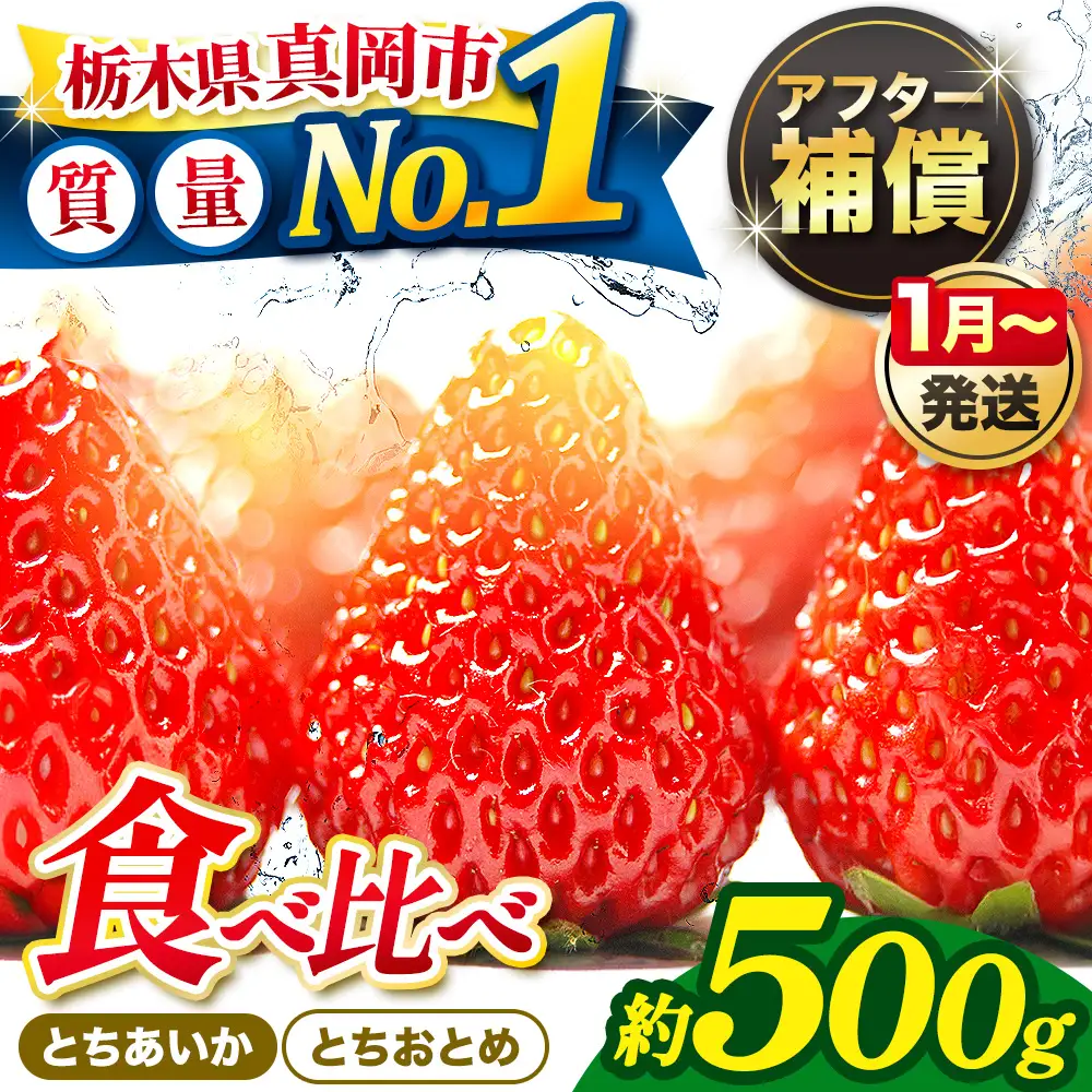 【先行予約受付中】いちご とちおとめ・とちあいか 食べ比べ 500g