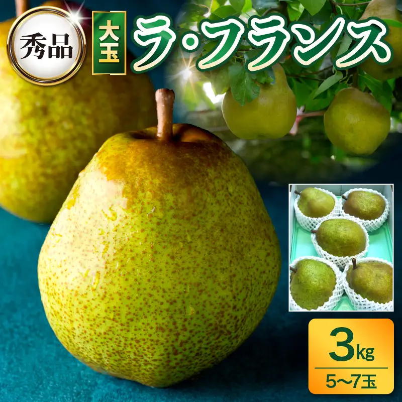 西洋梨（ラ・フランス）３ｋｇ　大玉　0017-2617