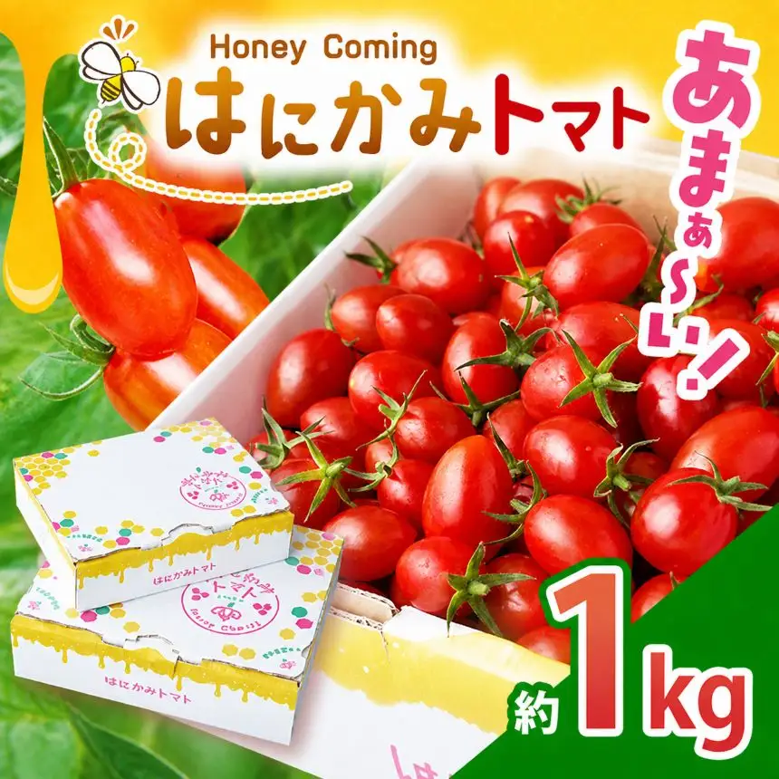 太陽の恵みをたっぷり浴びた はにかみトマト 約1kg 
