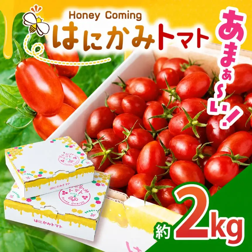 太陽の恵みをたっぷり浴びた はにかみトマト 約2kg