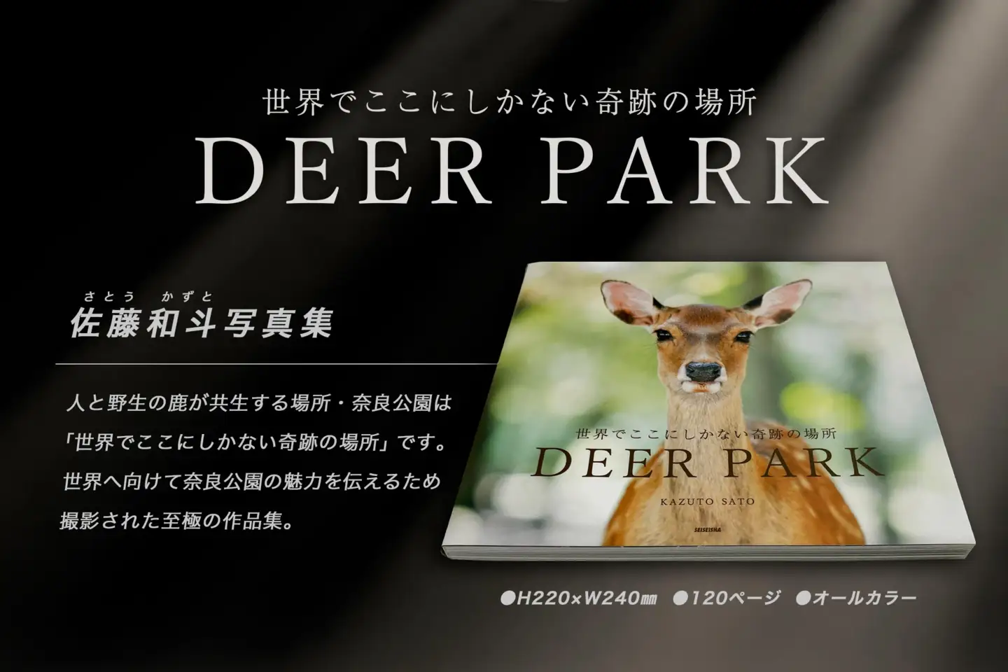 奈良の鹿 写真集「DEER PARK 世界でここにしかない奇跡の場所」奈良公園 サイン入り KAZUTO PHOTO OFFICE 佐藤和斗 I-193