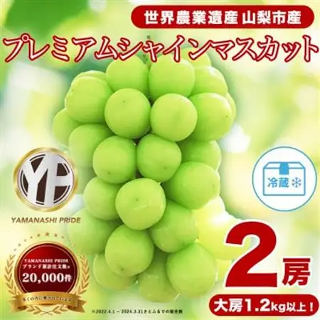 2026年発送 フルーツ王国山梨 シャインマスカット 2房 (1.2kg以上) プレミアム【配送不可地域：離島】【1105033】