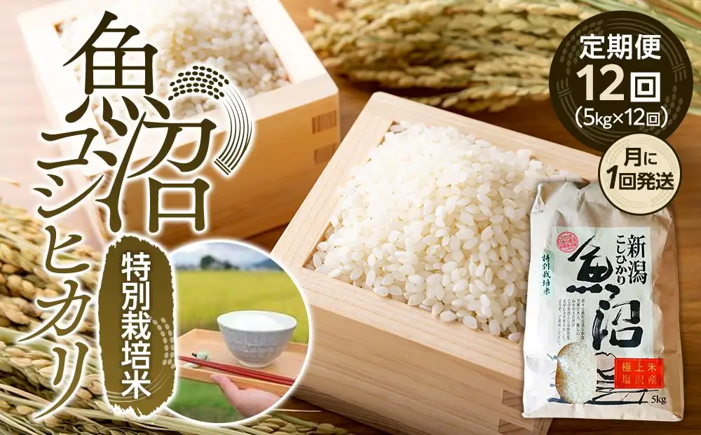 【令和8年　新米】定期便１２回！！魚沼コシヒカリ特別栽培米５kg×１２回（月に１回発送） | 定期便